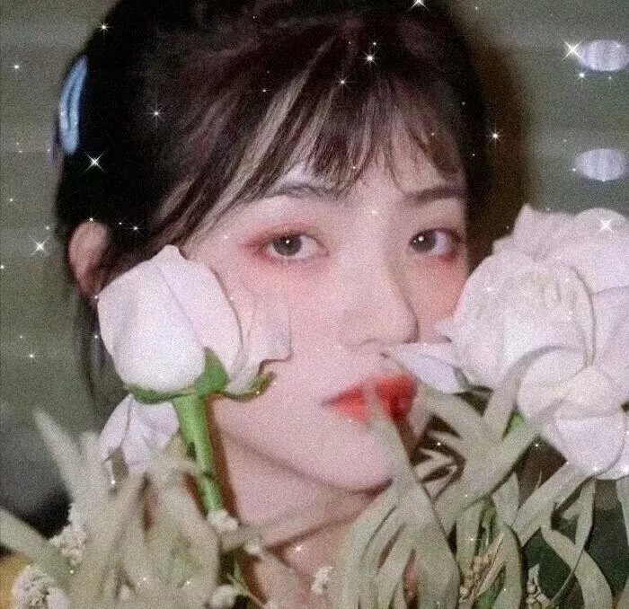 夺命网红
